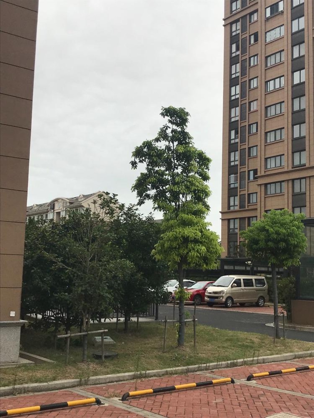 上海汇丰荷苑(二期)二手房房源图片