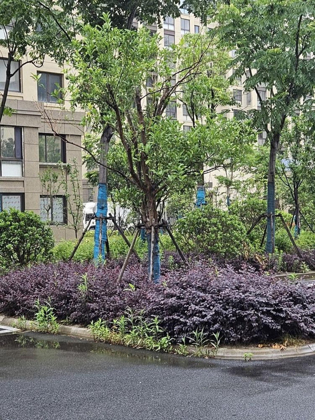 上海松南城欣浪苑二手房房源图片