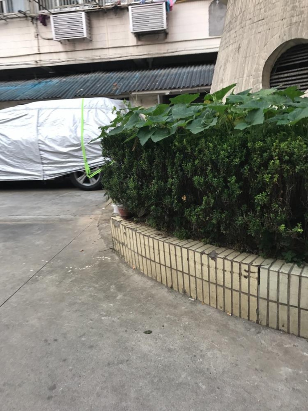 上海西江湾路235弄小区二手房房源图片