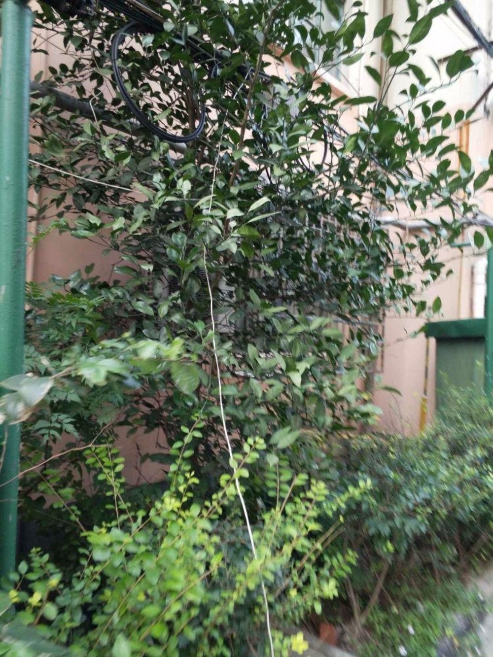 上海西一小区二手房房源图片