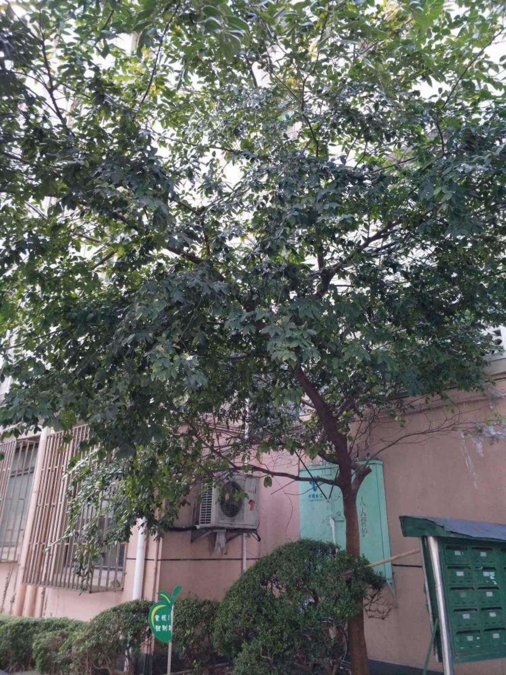 上海西一小区二手房房源图片