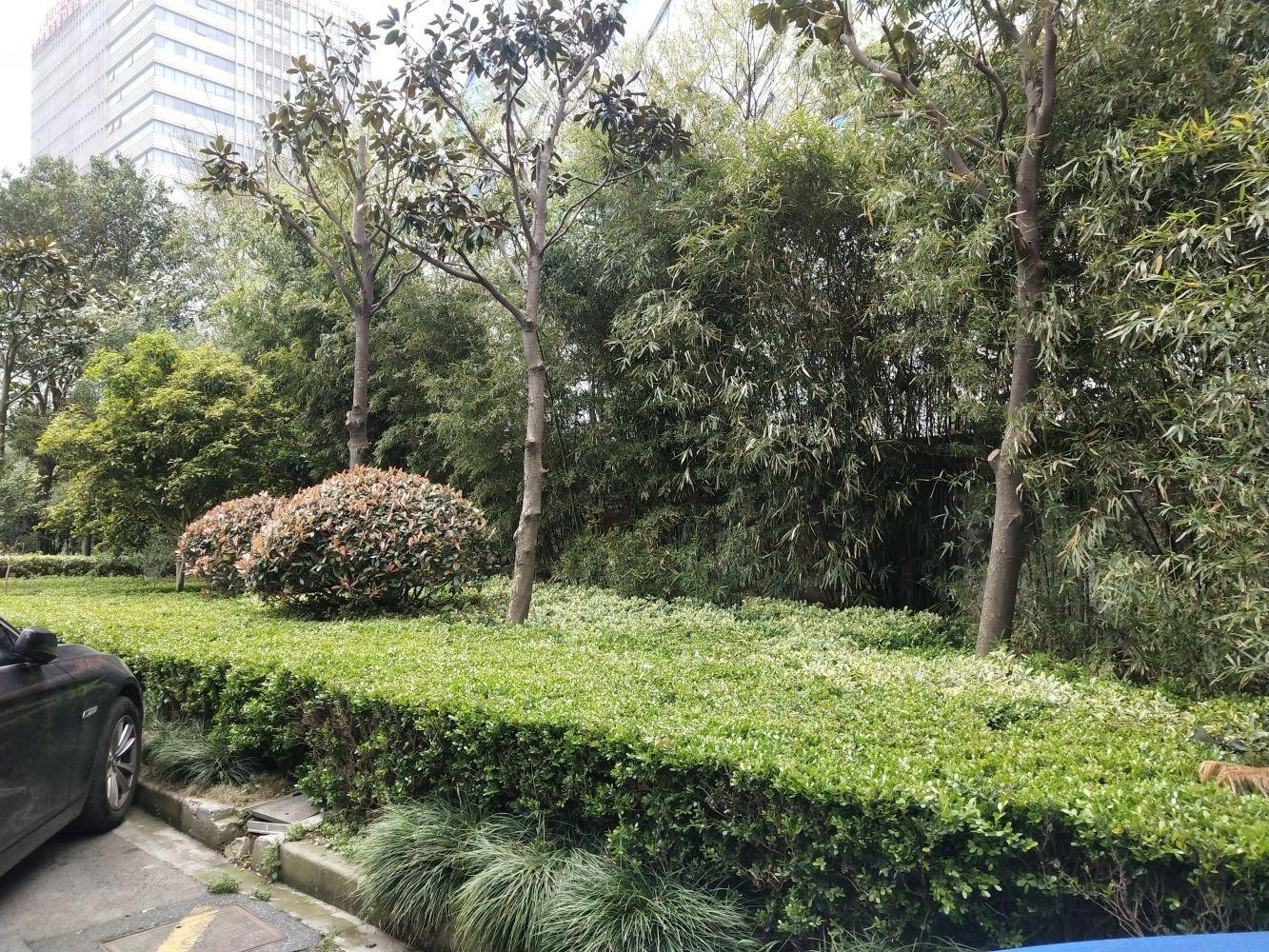 上海紫金公馆二手房房源图片