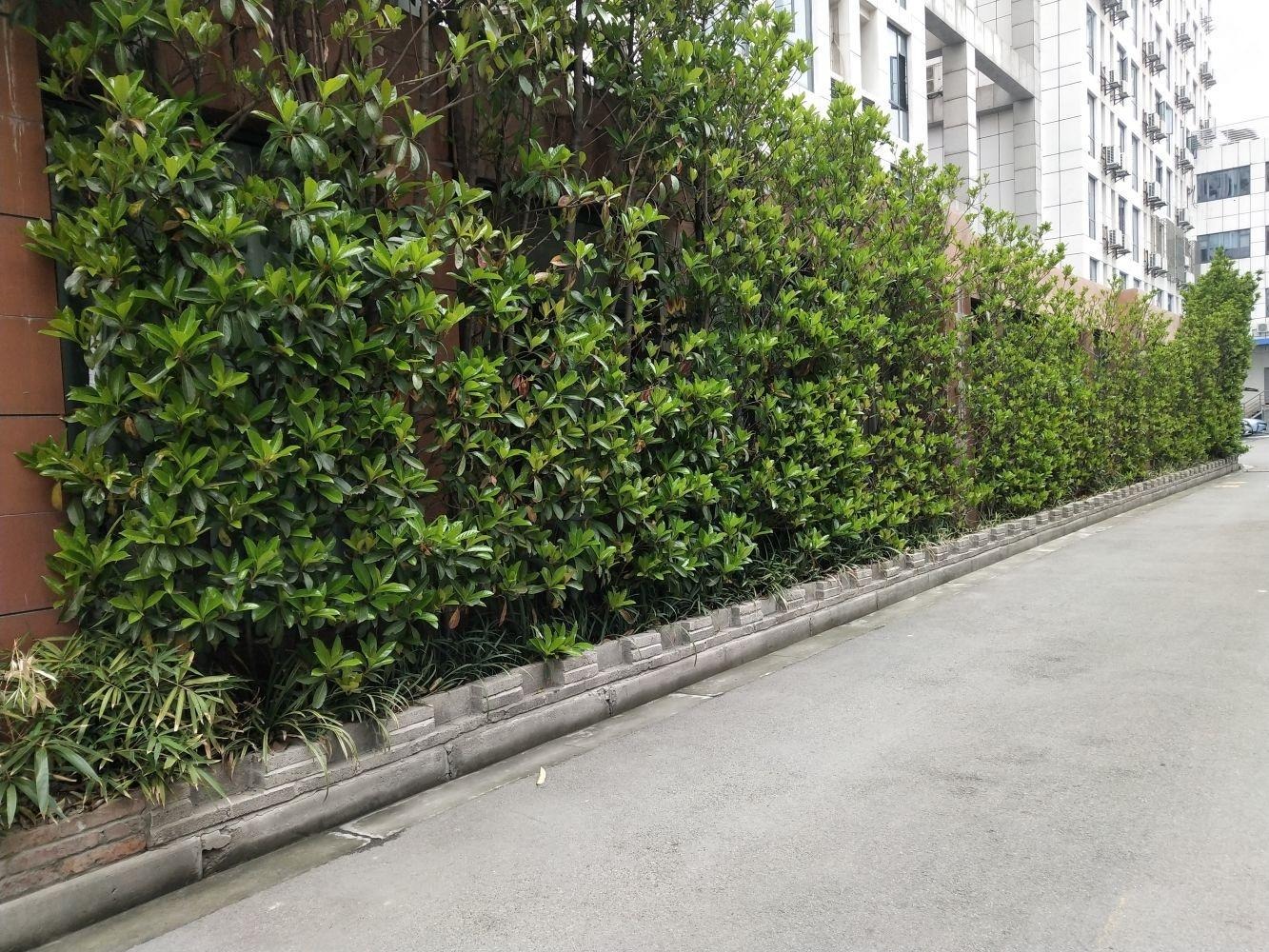 上海紫金公馆二手房房源图片