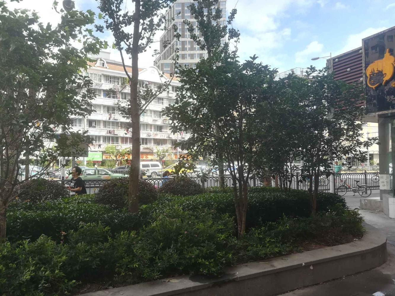 上海打虎大楼二手房房源图片