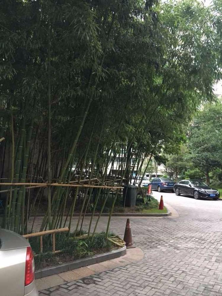 上海书香公寓二手房房源图片