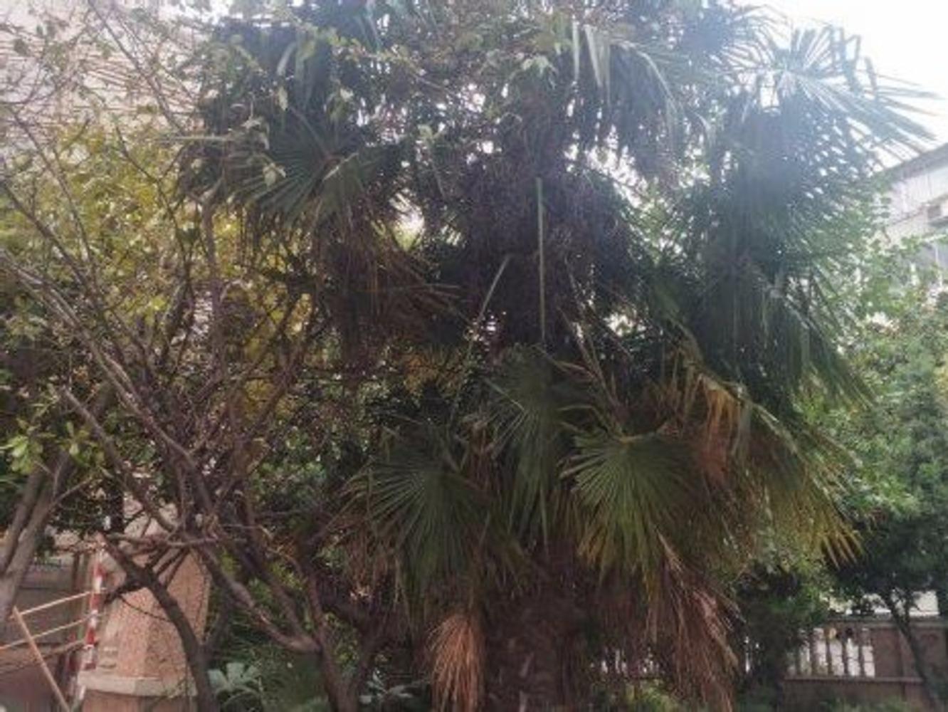 上海中粮瑞虹海景壹号二手房房源图片