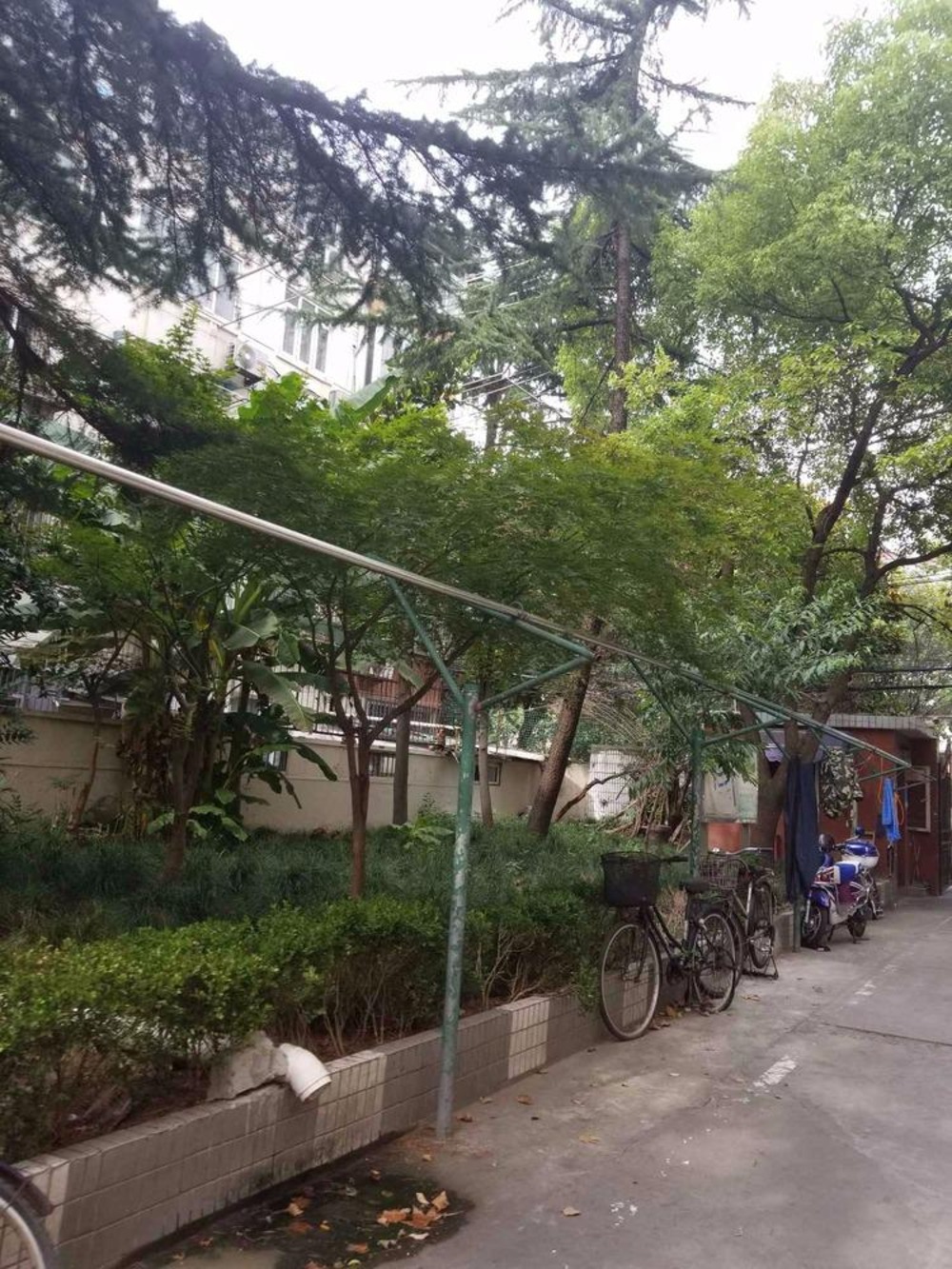 上海北郊小区(487弄)二手房房源图片