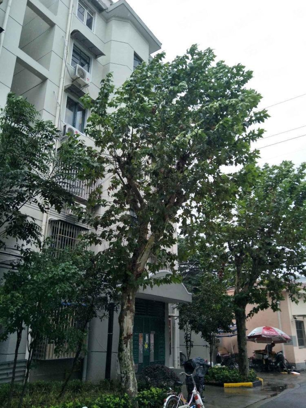 上海瑞虹新城天悦郡庭二手房房源图片