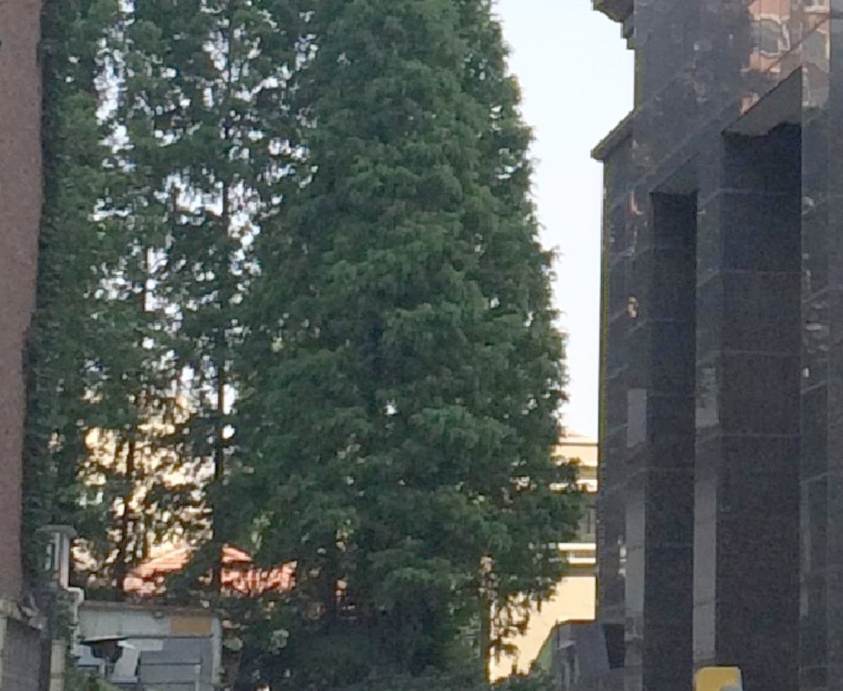 上海嘉丽苑(徐汇)二手房房源图片