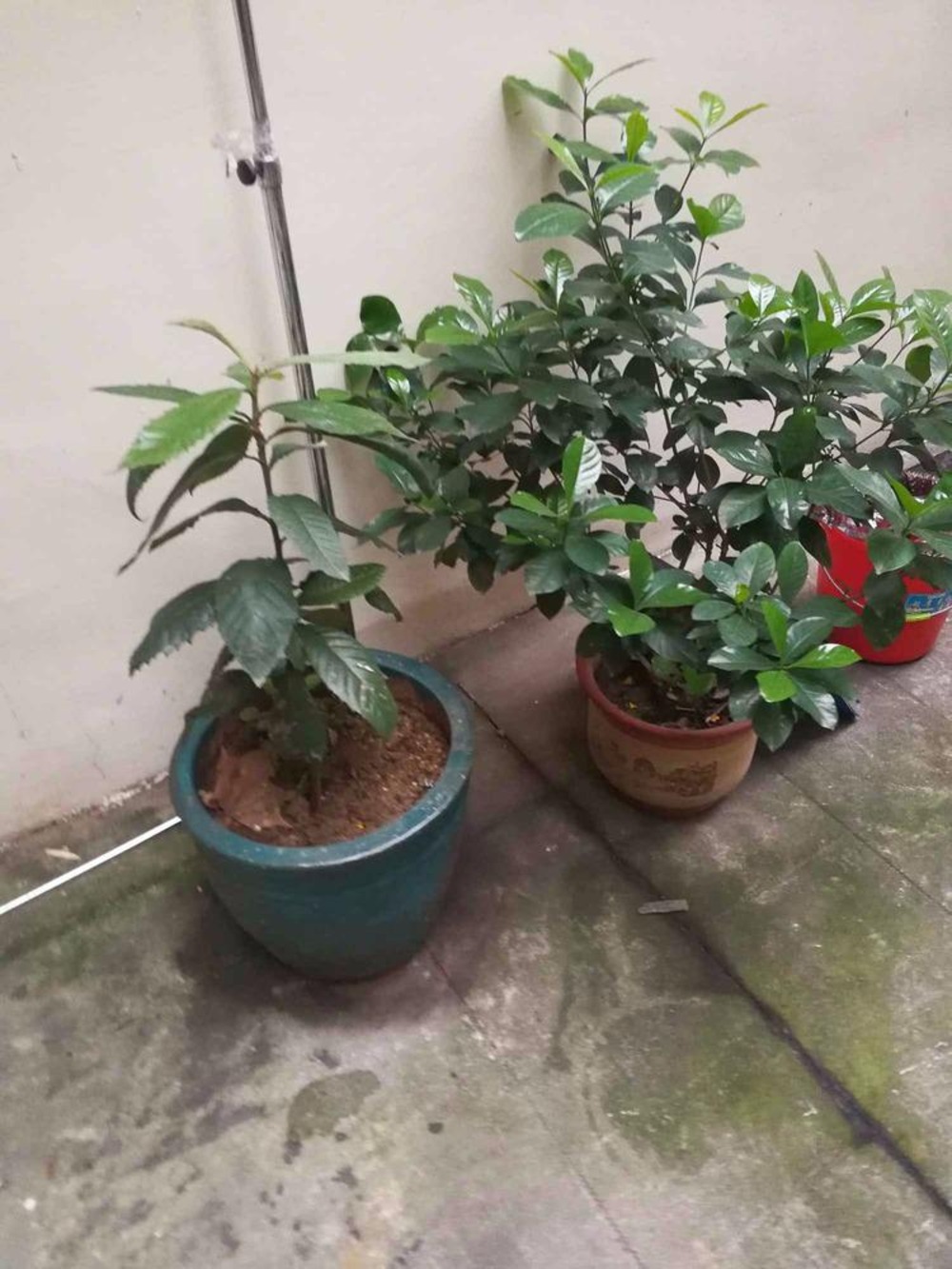 上海襄阳南路166弄小区二手房房源图片