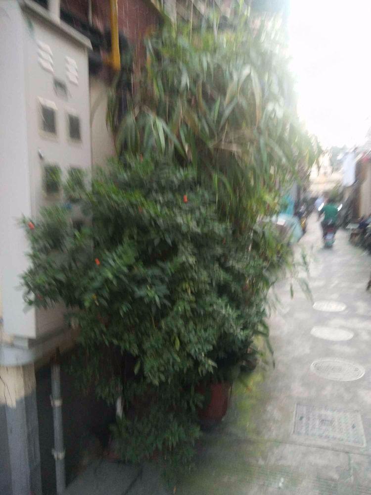 上海襄阳南路306弄小区二手房房源图片