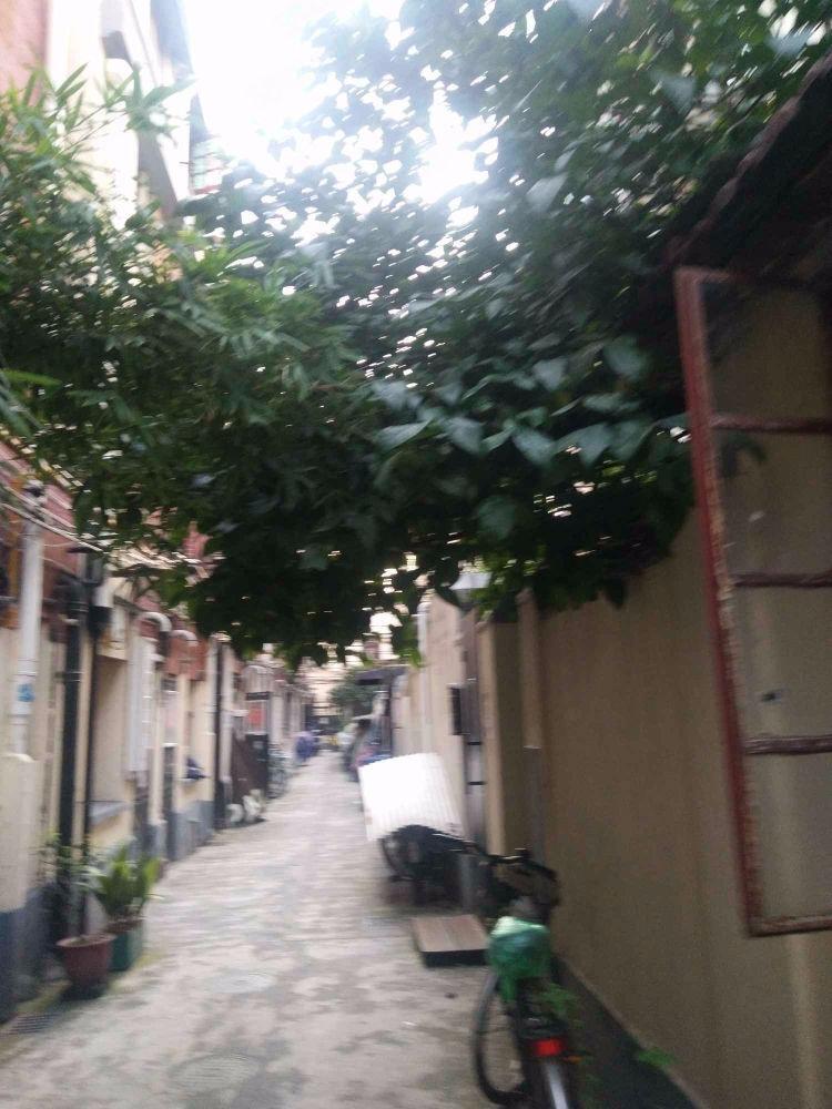 上海襄阳南路306弄小区二手房房源图片