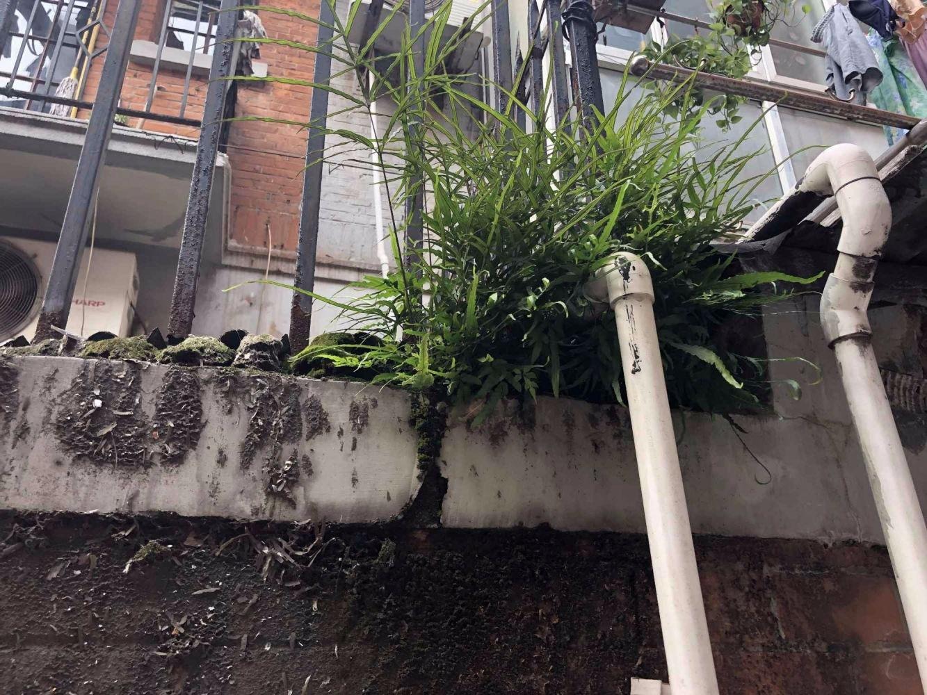 上海元昌里二手房房源图片