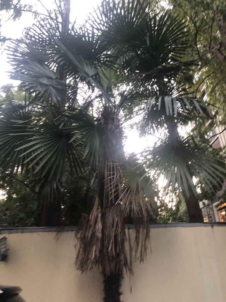 上海五原路252弄小区二手房房源图片