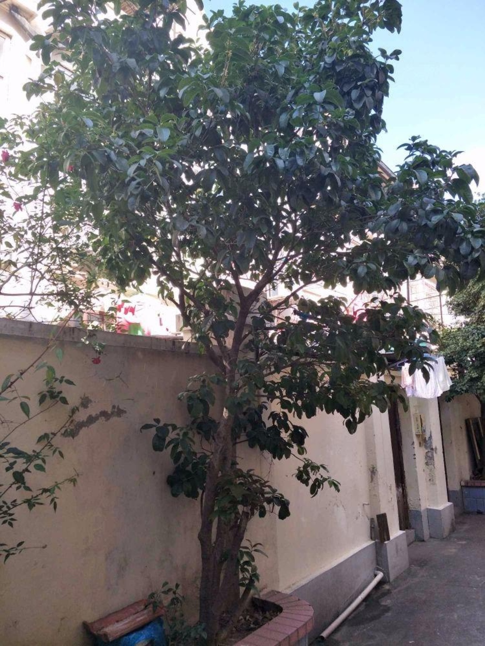 上海花园公寓(黄浦)二手房房源图片