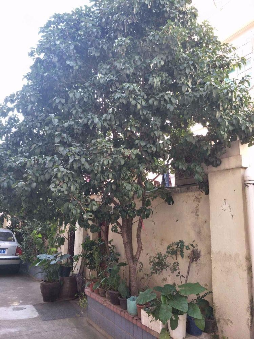 上海花园公寓(黄浦)二手房房源图片