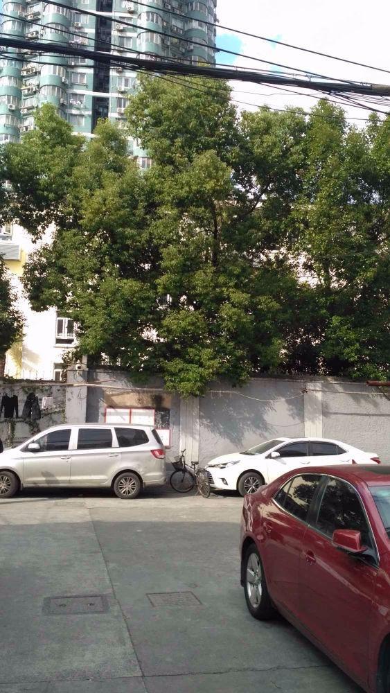 上海瞿溪路1200弄小区二手房房源图片