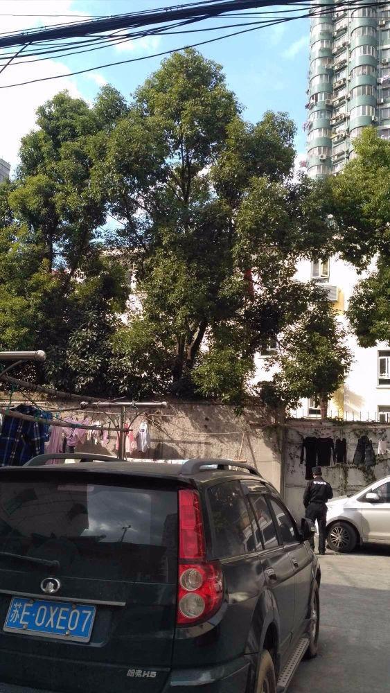 上海瞿溪路1200弄小区二手房房源图片