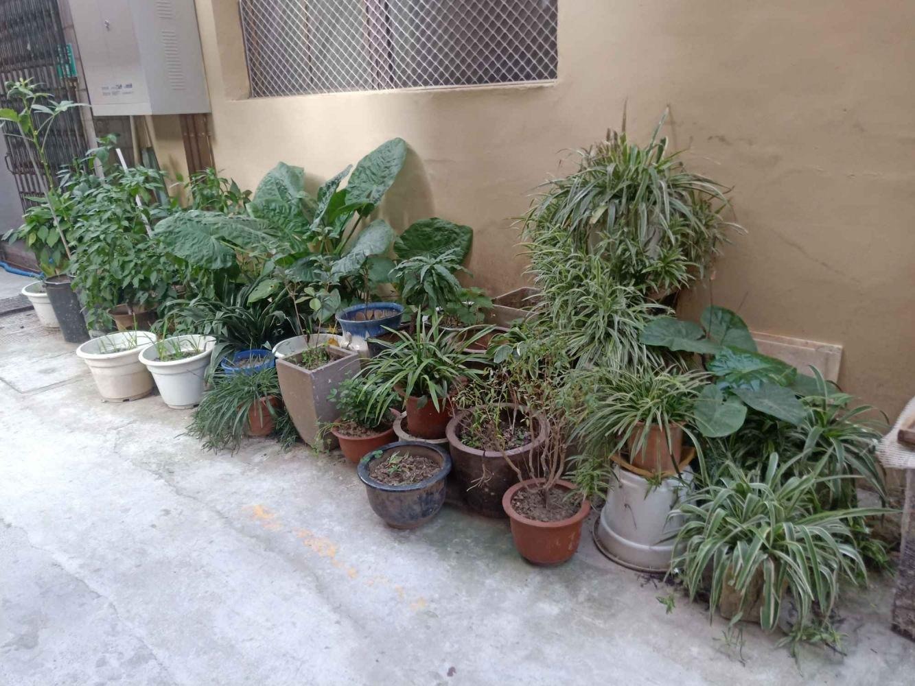 上海黄浦桃源坊二手房房源图片