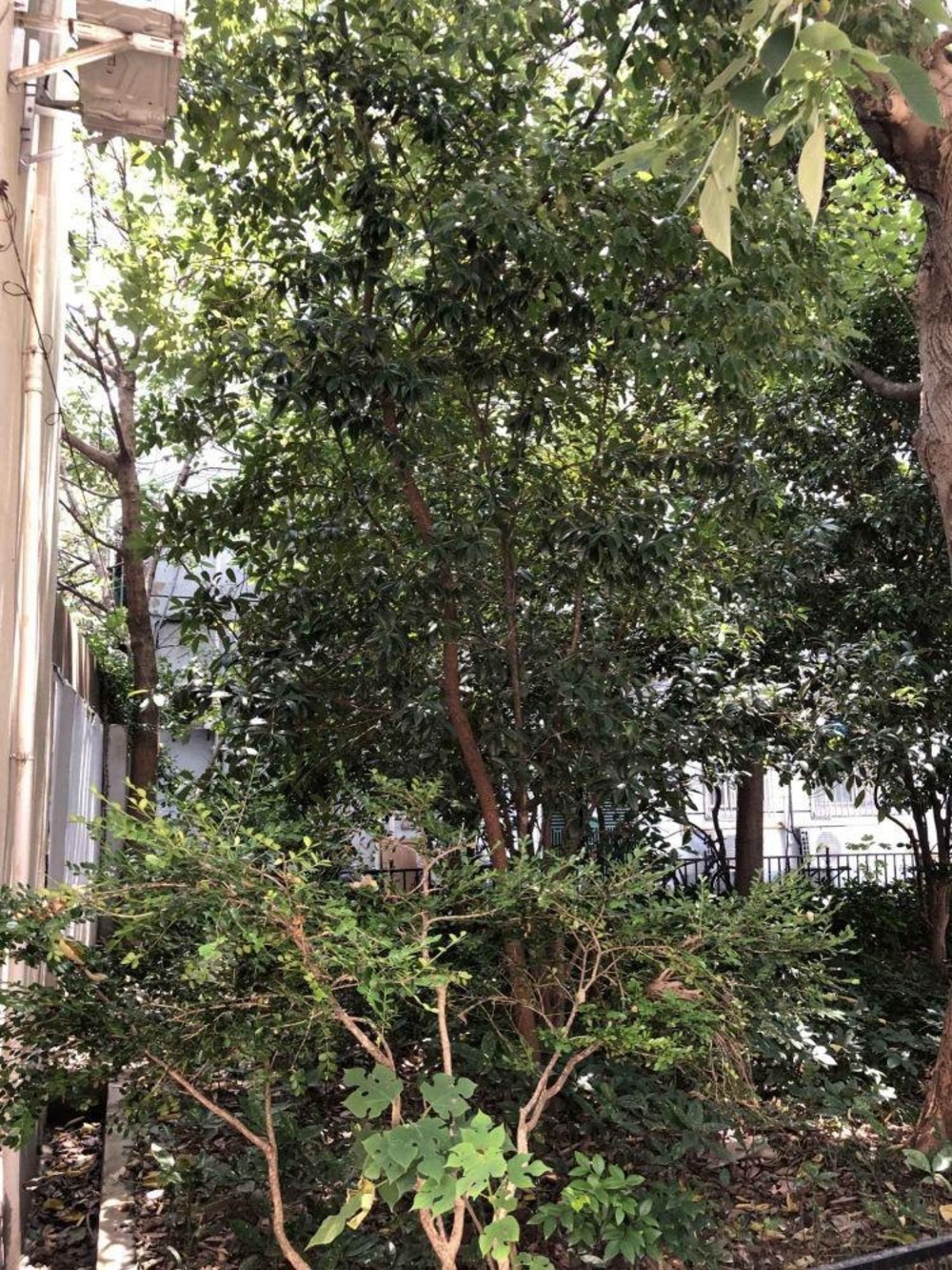 上海襄阳南路452弄小区二手房房源图片