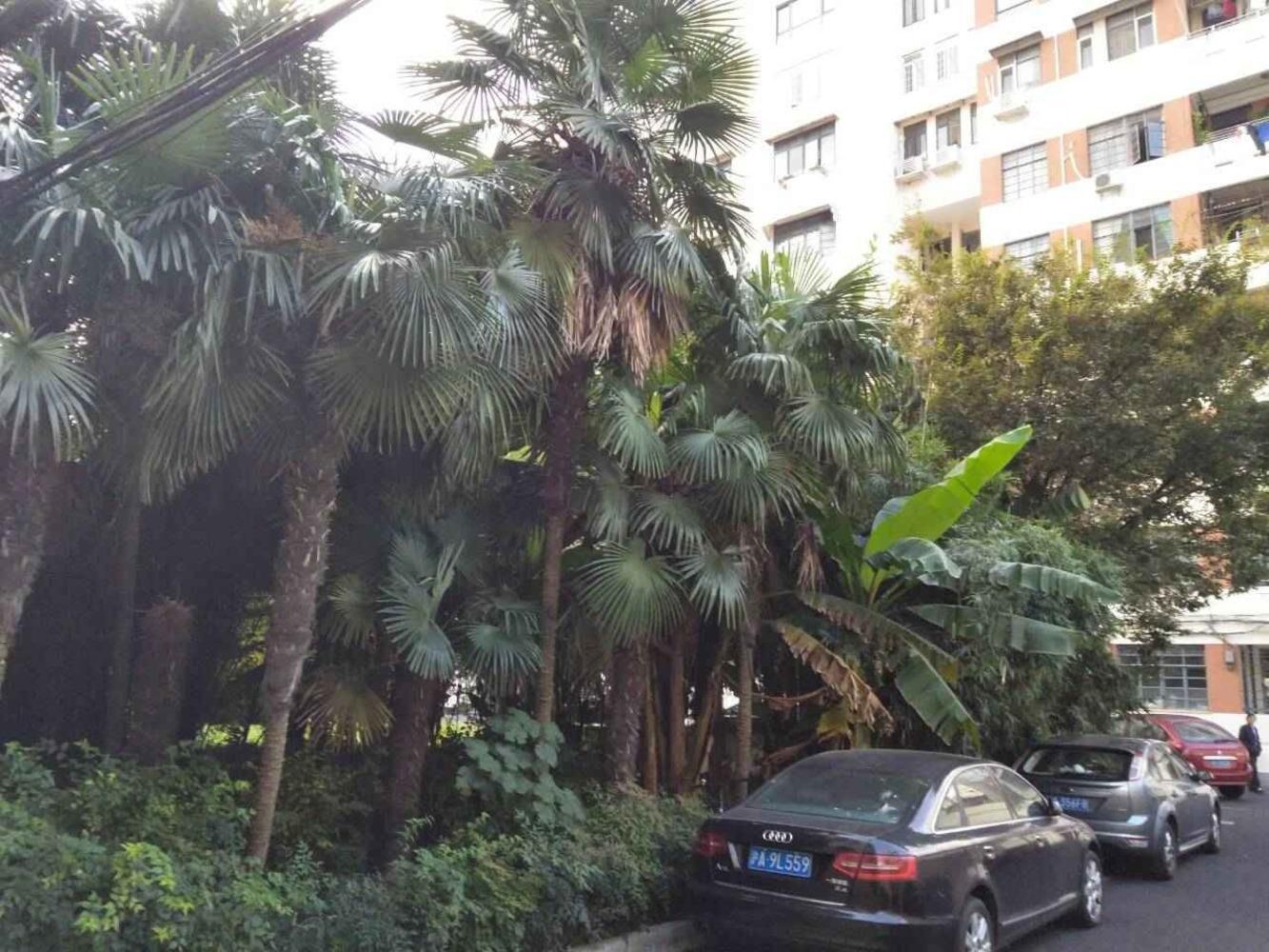 上海懿德公寓二手房房源图片