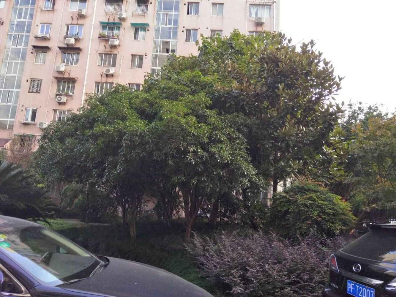 上海懿德公寓二手房房源图片