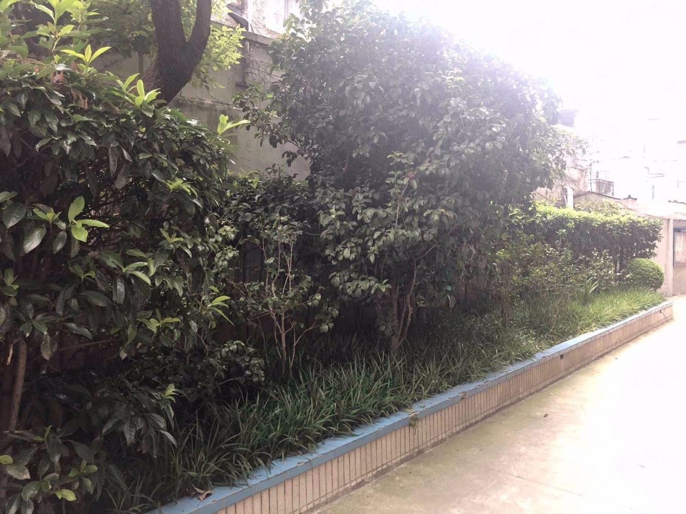 上海重建小区二手房房源图片