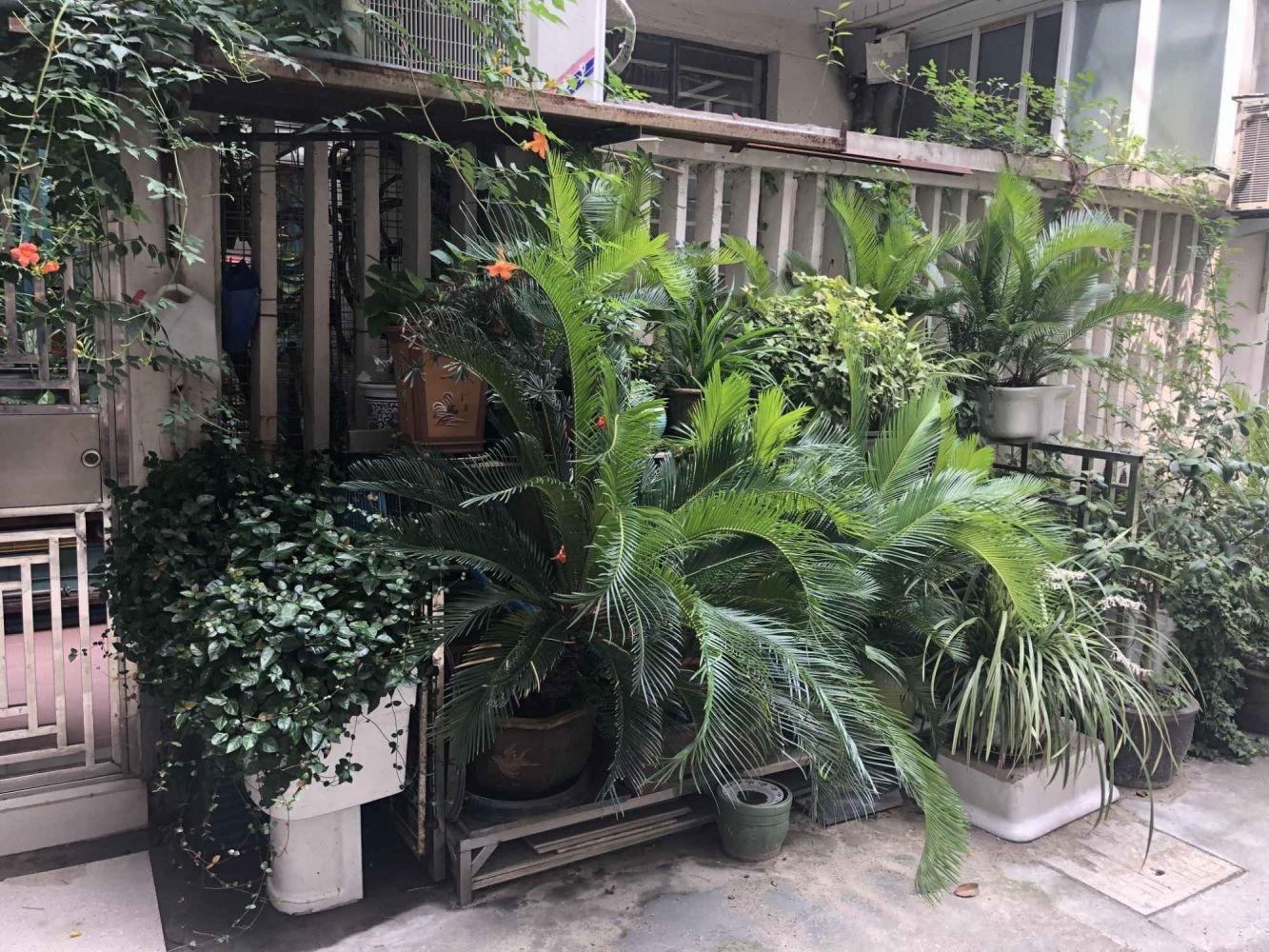 上海巴黎公寓二手房房源图片