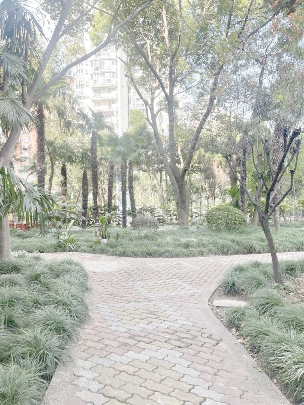 上海徐汇汇景苑二手房房源图片