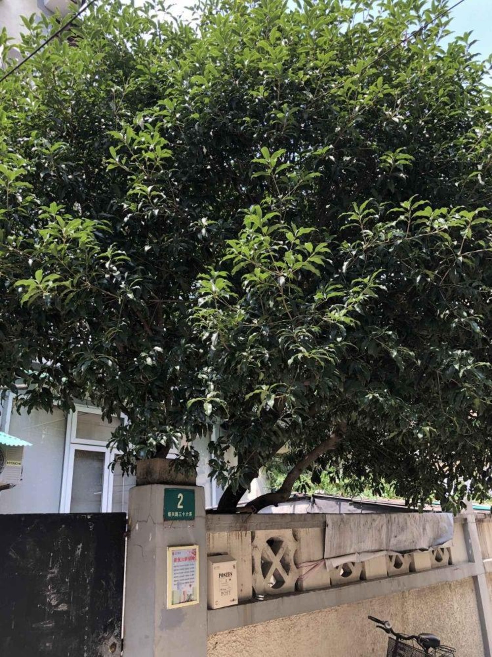 上海绍兴路36弄小区二手房房源图片