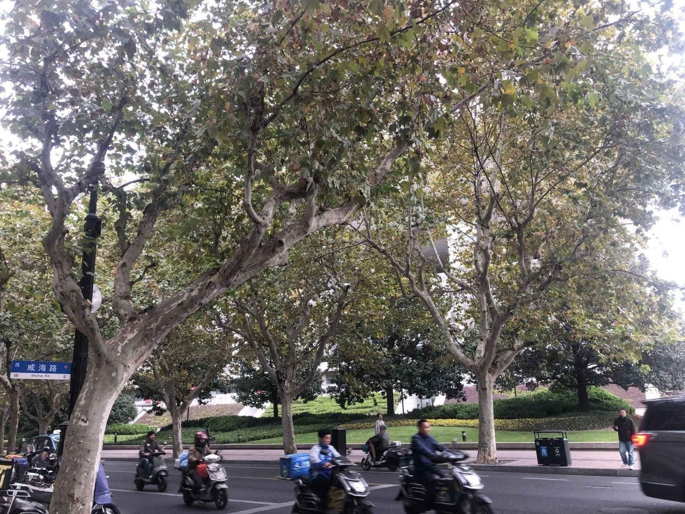 上海江阴小区(南区)二手房房源图片