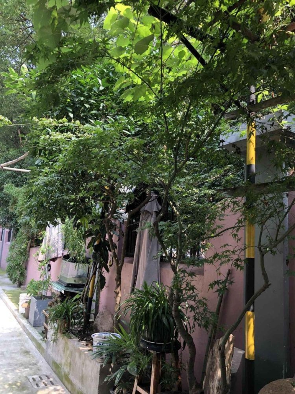 上海嘉善小区二手房房源图片