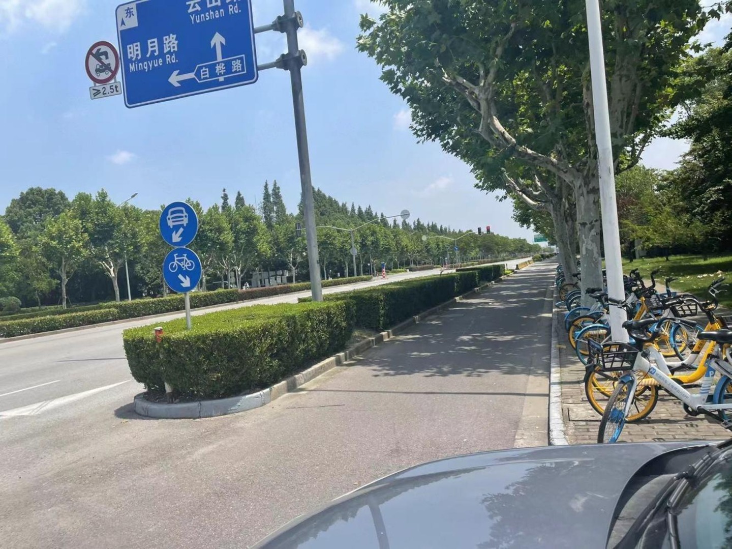 上海云间绿大地别墅二手房房源图片