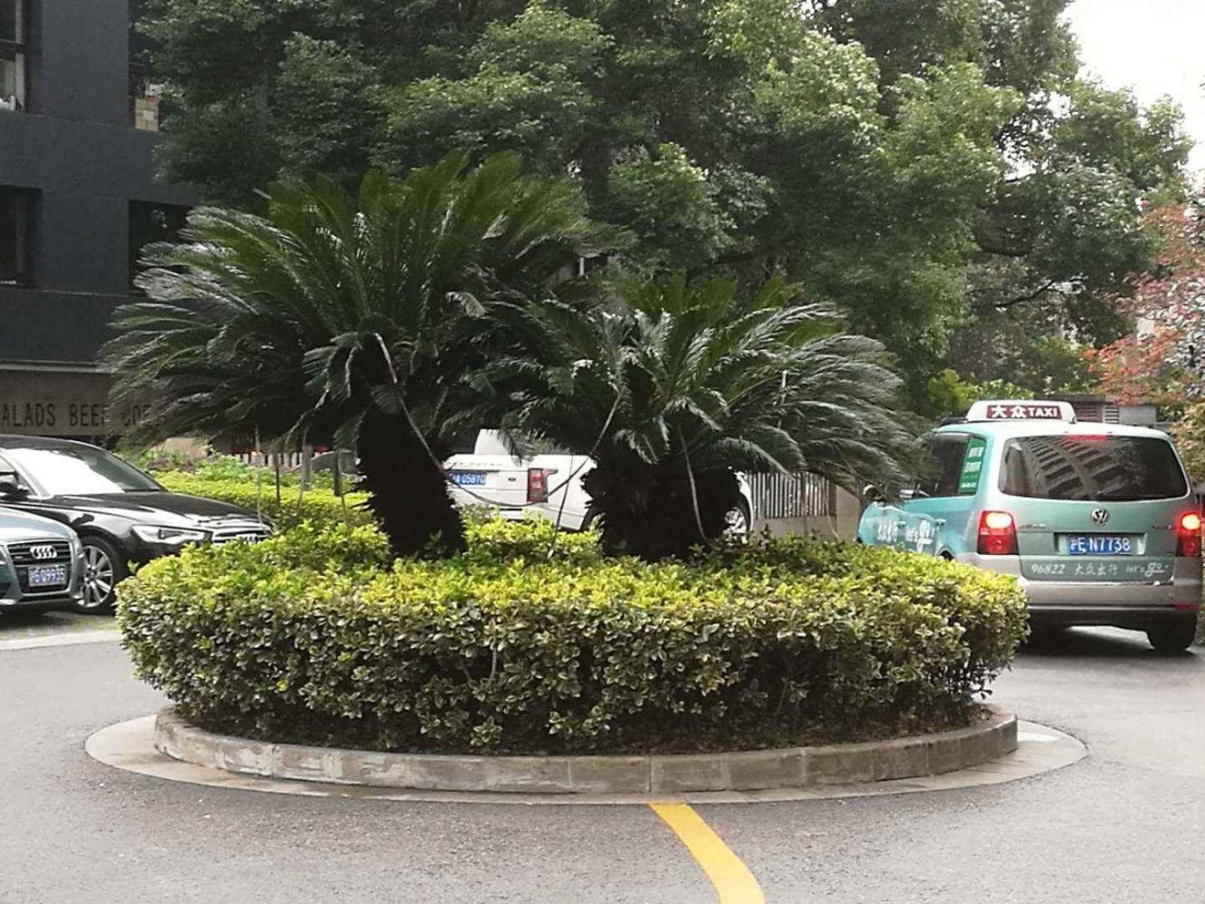 上海静安四季苑二手房房源图片
