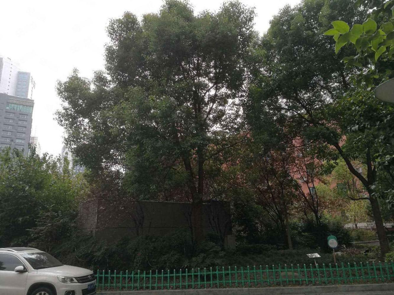 上海静安四季苑二手房房源图片