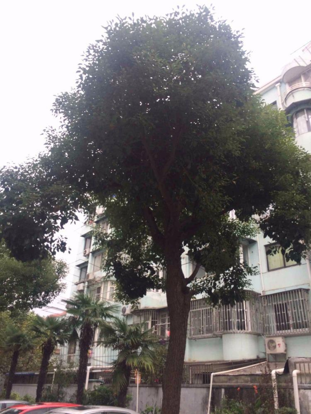 上海东波苑联鑫坊二手房房源图片