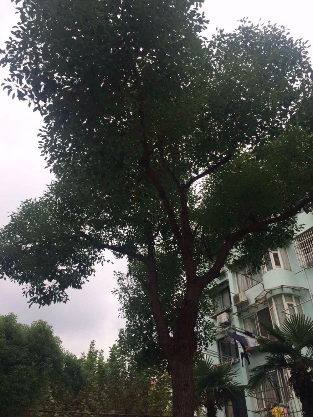 上海东波苑联鑫坊二手房房源图片