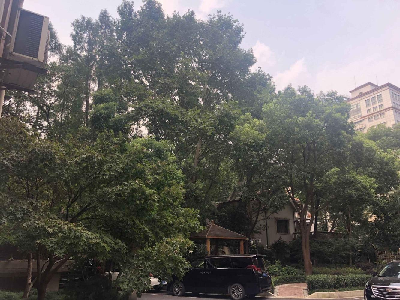 上海徐汇一品苑二手房房源图片