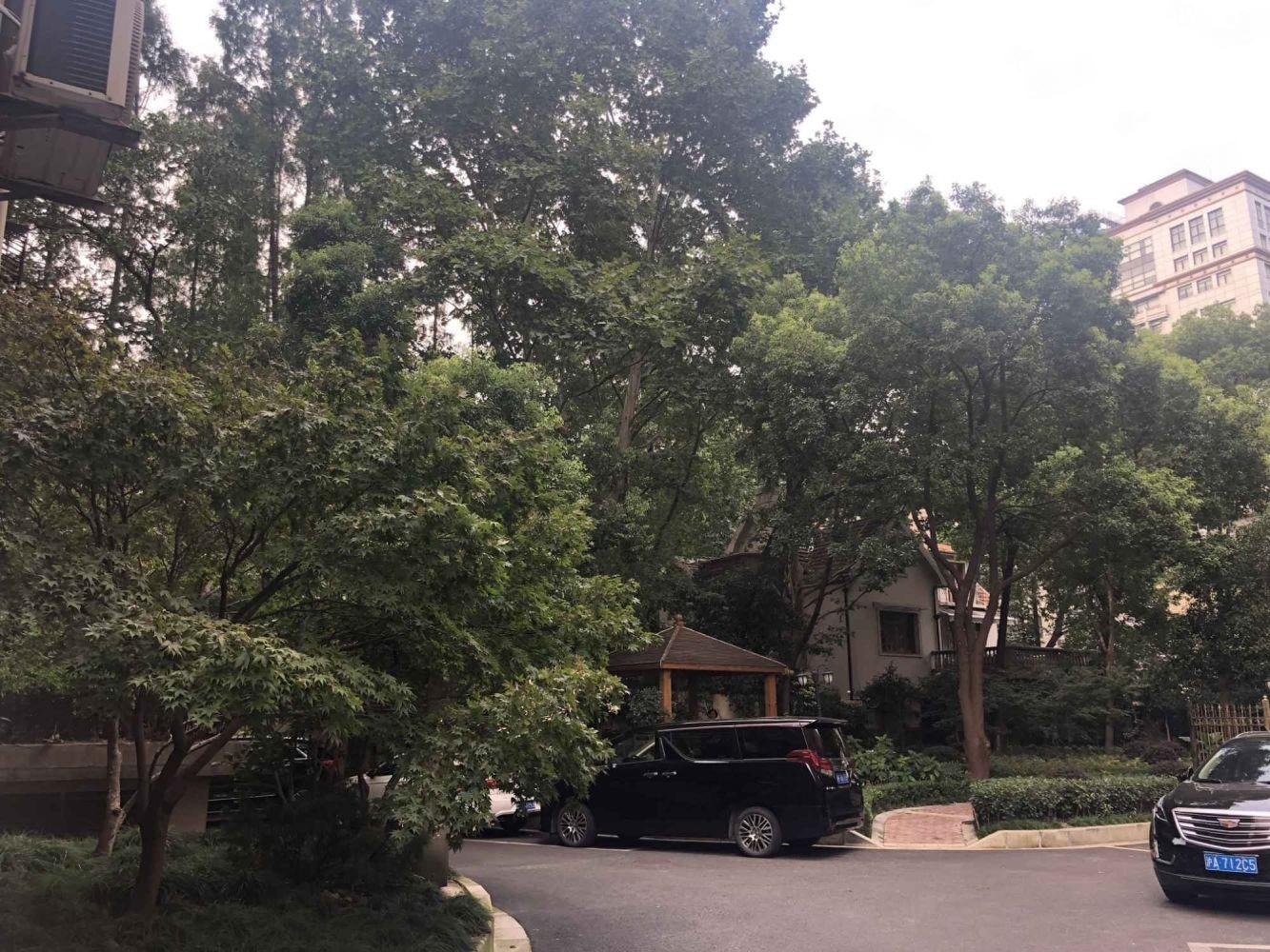 上海徐汇一品苑二手房房源图片