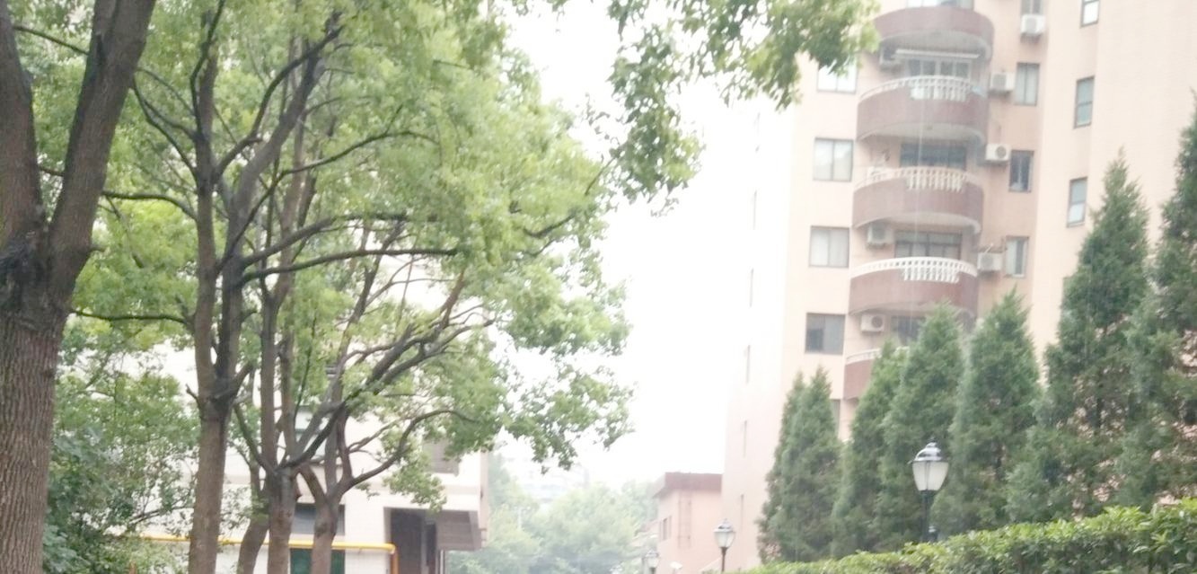 上海丁香公寓二手房房源图片