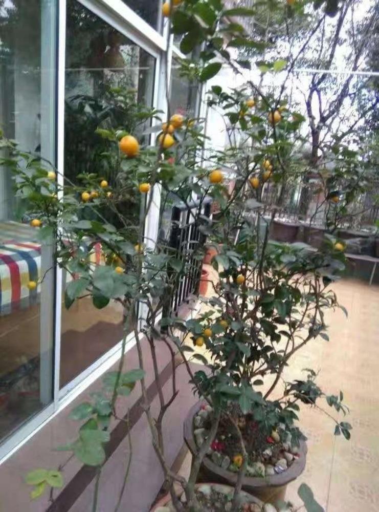 上海华升新苑二手房房源图片