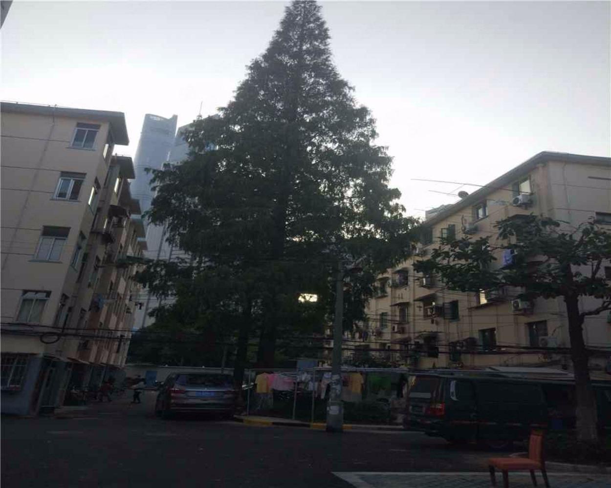 上海招远小区二手房房源图片