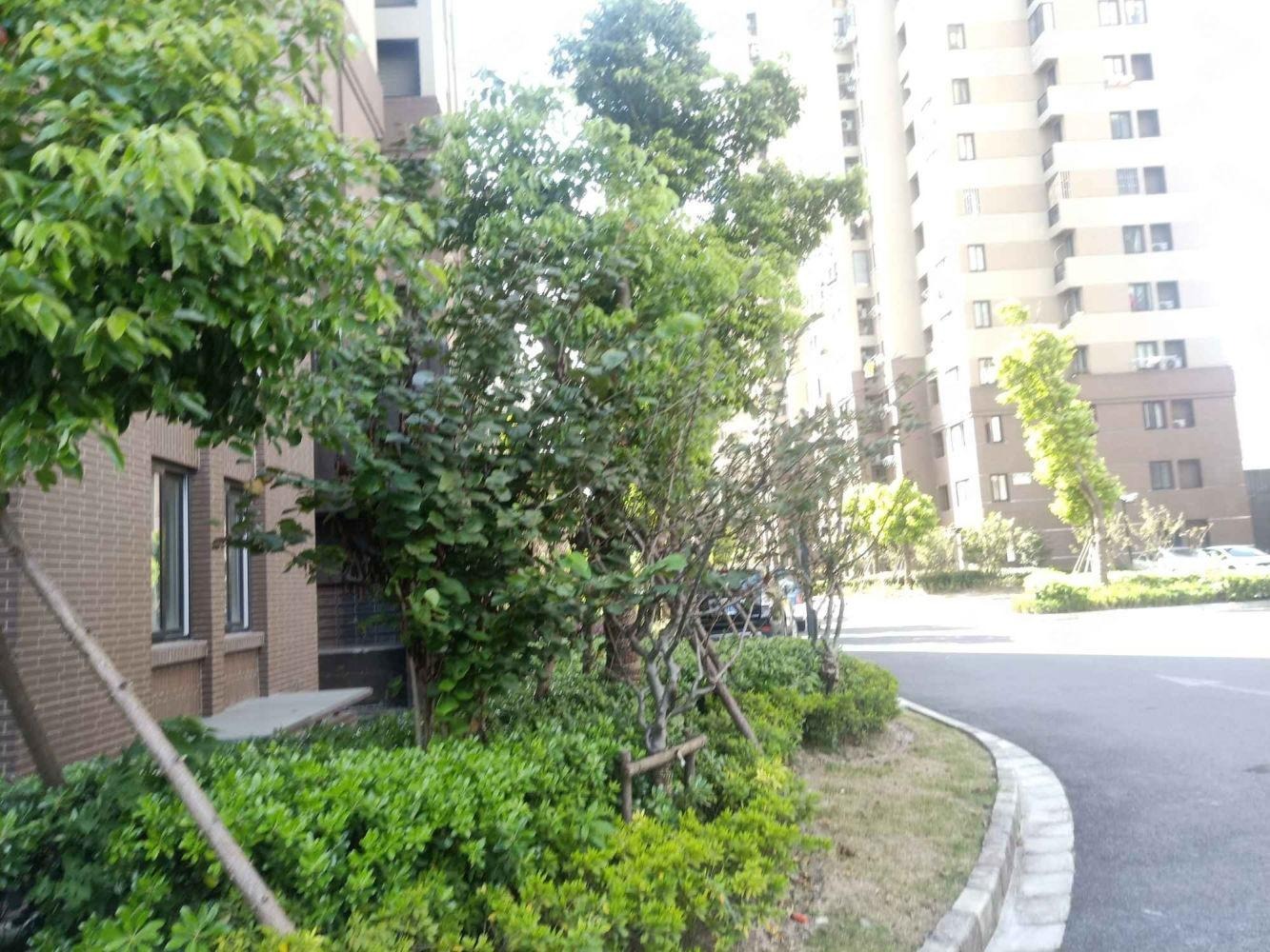 上海高申南苑二手房房源图片