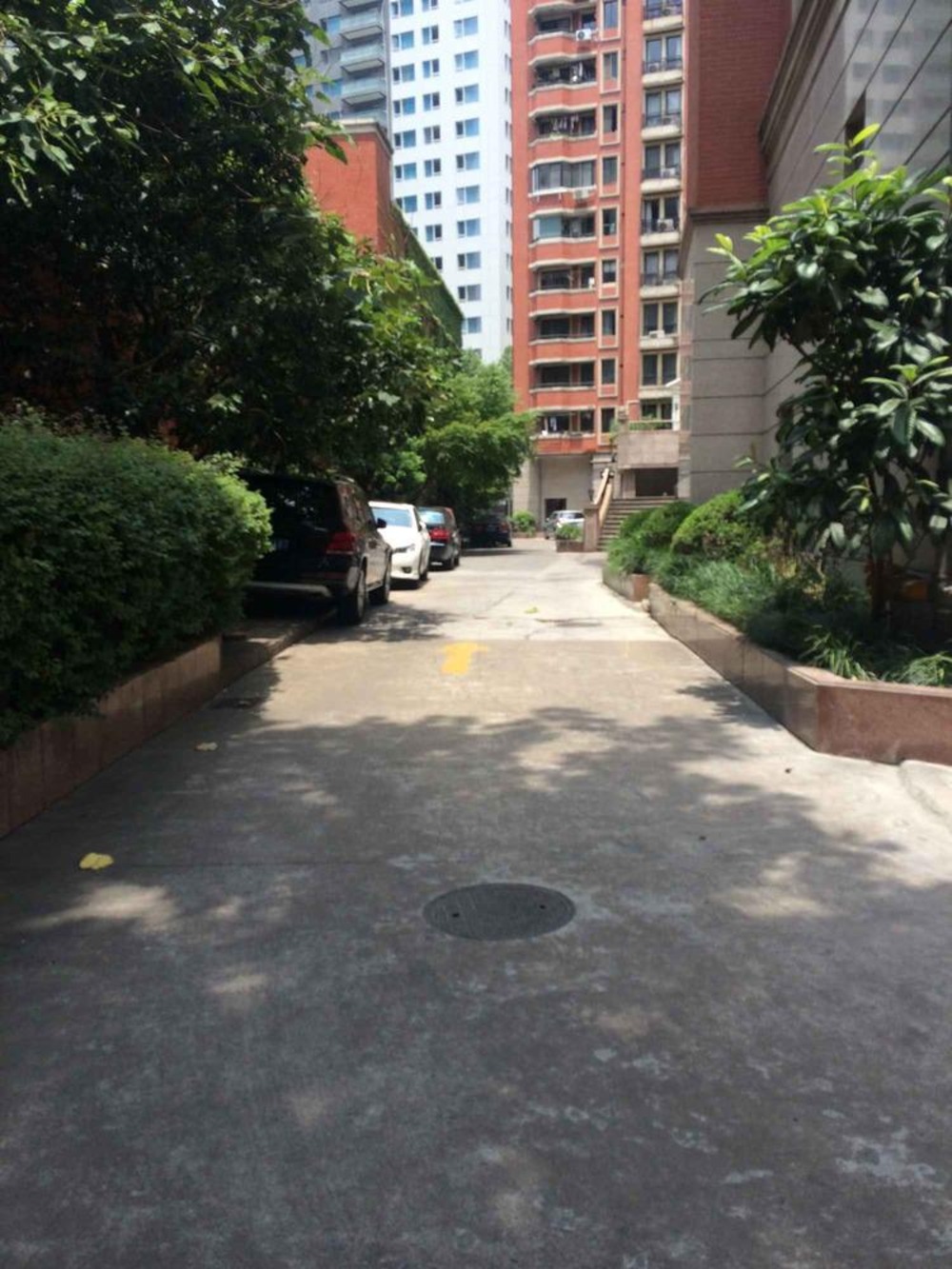 上海梧桐花园A座二手房房源图片