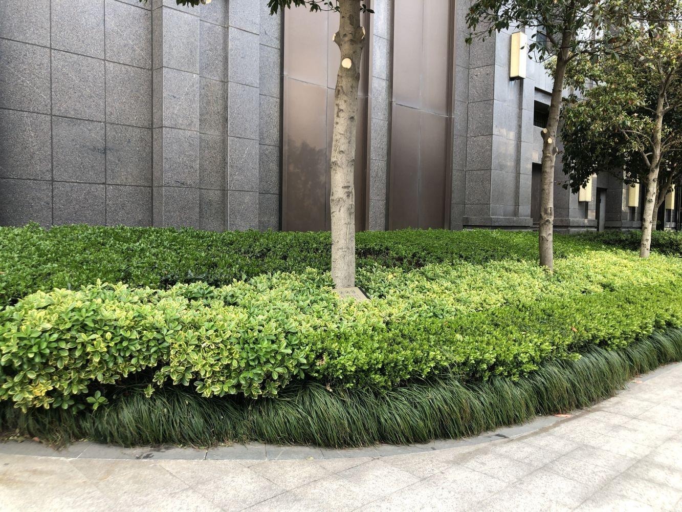 上海龙湖郦城(商住楼)二手房房源图片