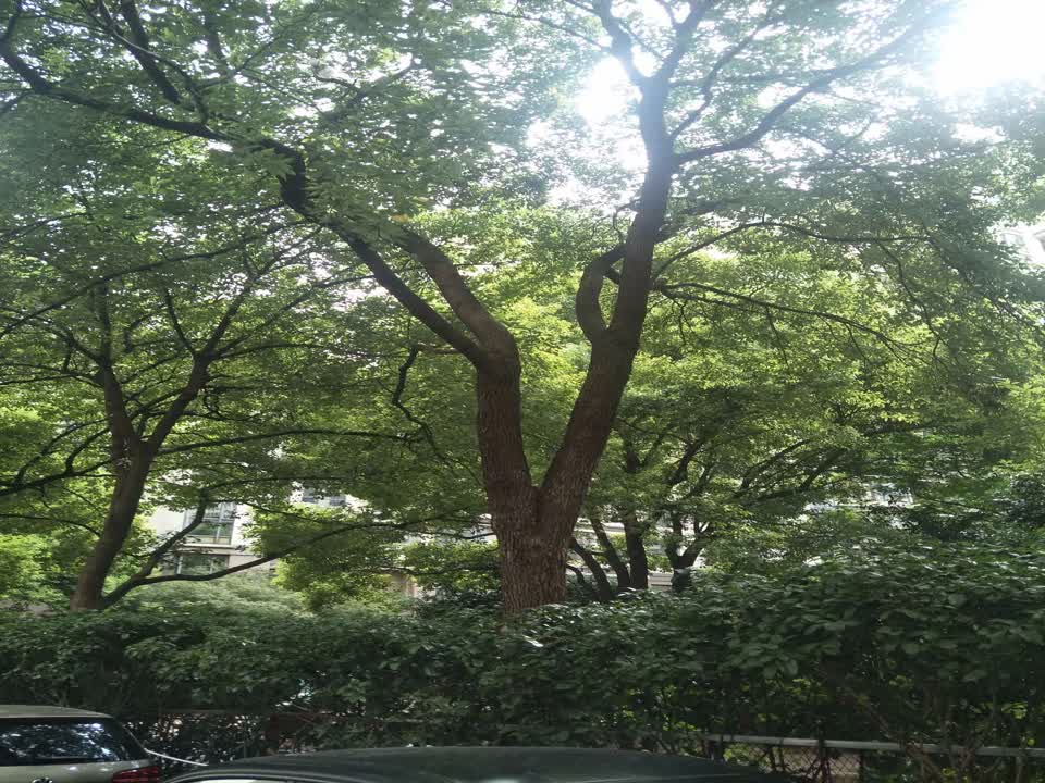 上海中凯城市之光二手房房源图片