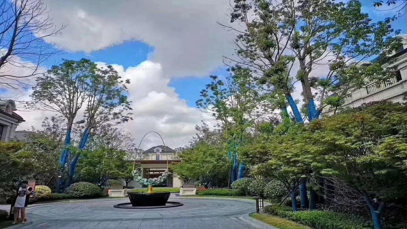 上海康桥半岛翠庭别墅二手房房源图片
