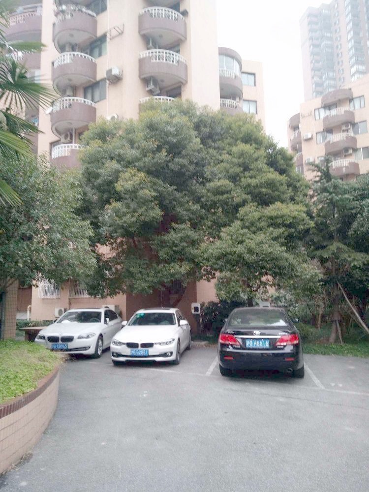 上海总统公寓二手房房源图片