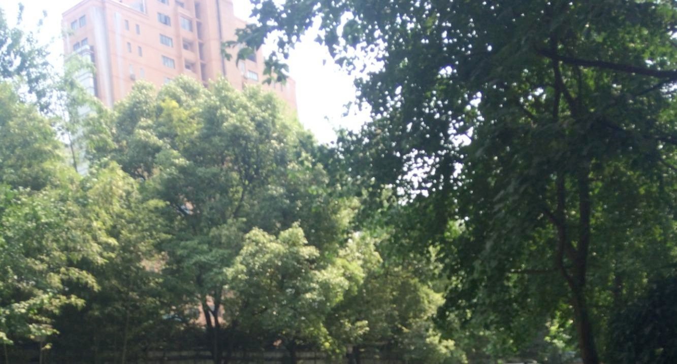 上海太原邸二手房房源图片