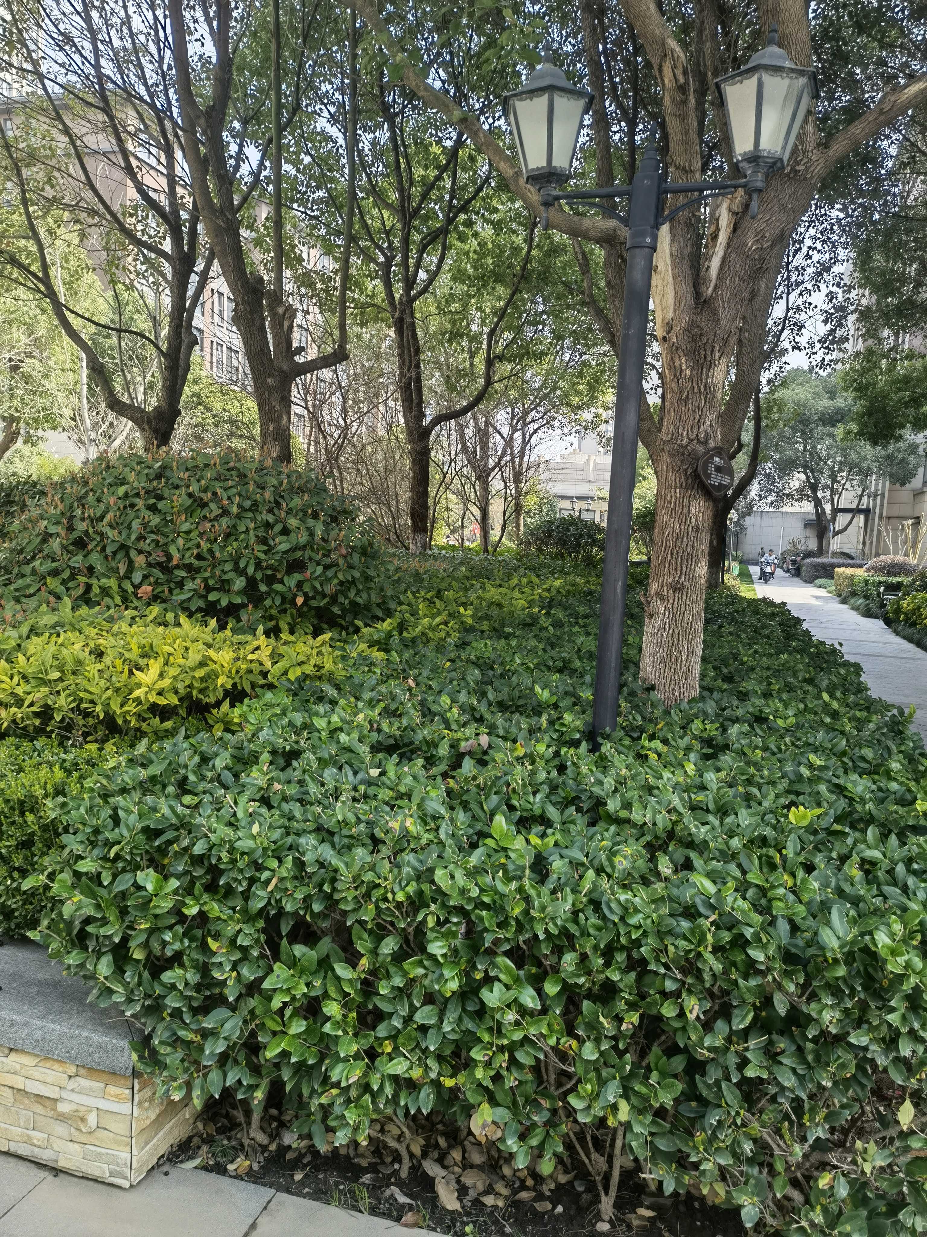 上海大成名庭二手房房源图片